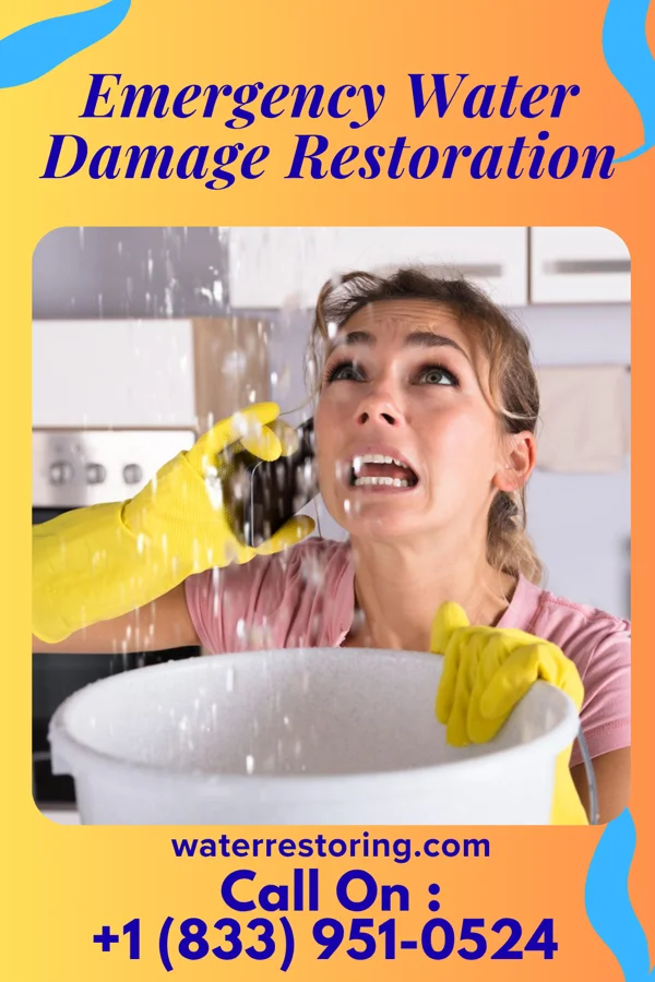 Emergency Water Damage Restoration in Graham, MO