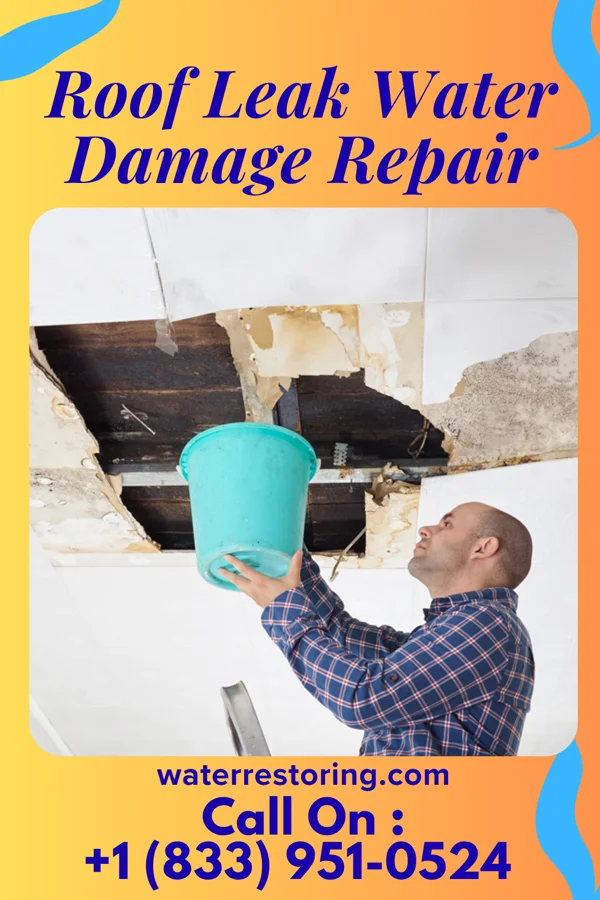 Roof Leak Water Damage Repair in Graham, MO
