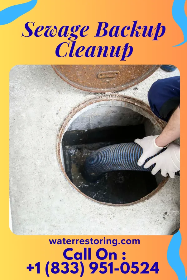Sewage Backup Cleanup in Graham, MO
